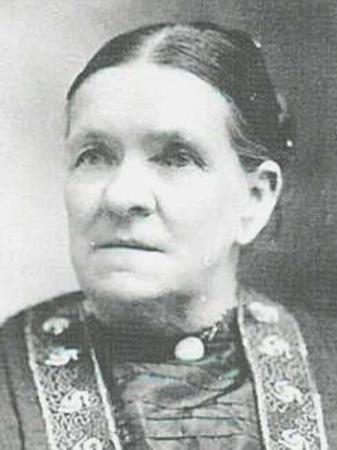 Emarine Jenkins (1847 - 1919) Profile